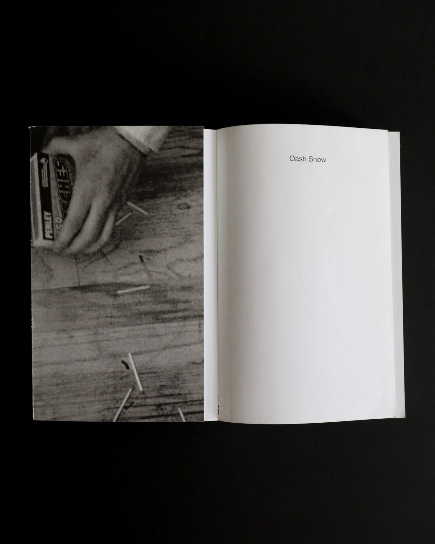 Dash Snow: I Love You, Stupid!