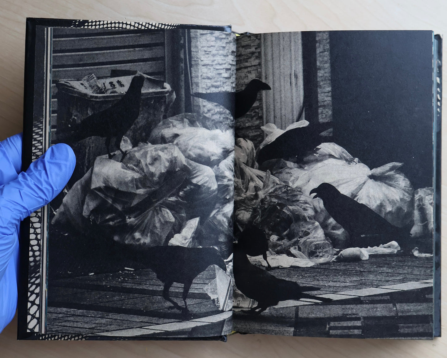 Moriyama Daido's "Tokyo: Ongoing" (Signed)