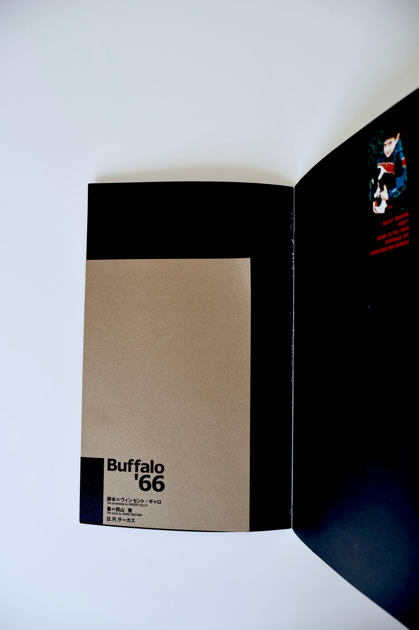Buffalo ’66 (1998) Japan Photo Book