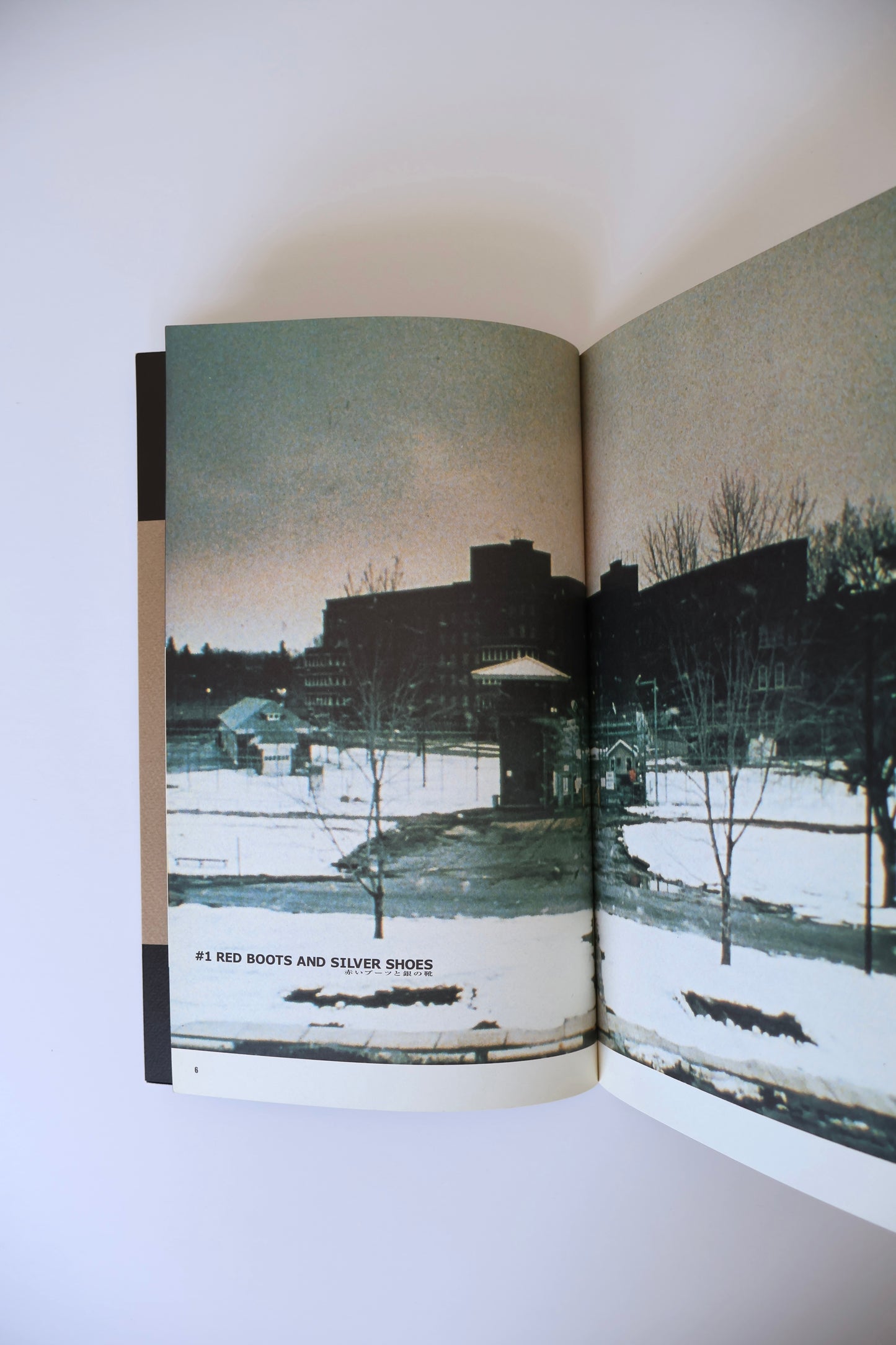 Buffalo ’66 (1998) Japan Photo Book