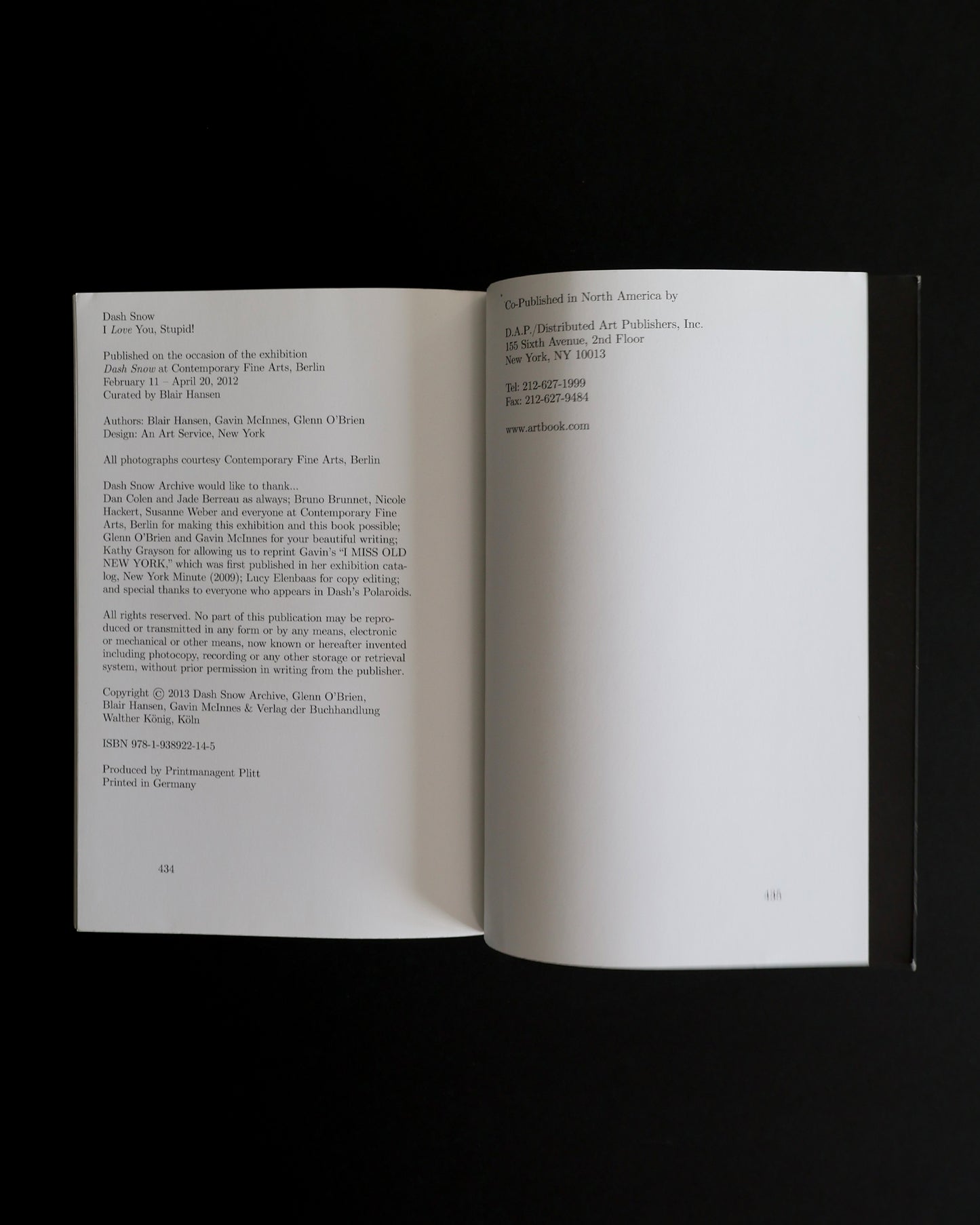 Dash Snow: I Love You, Stupid!