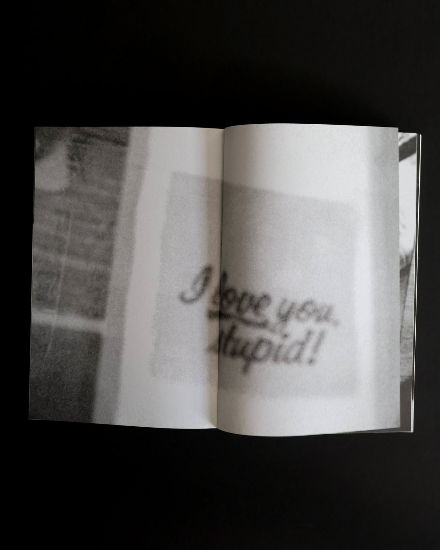 Dash Snow: I Love You, Stupid!