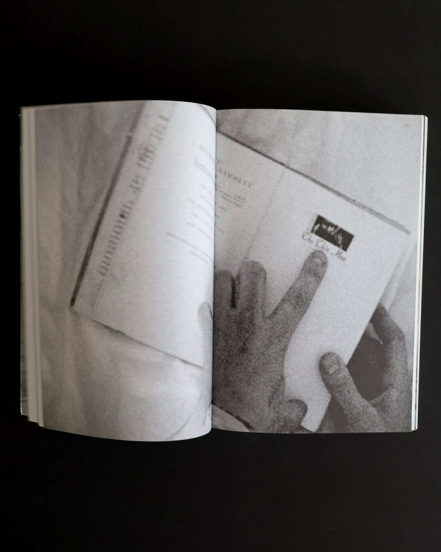 Dash Snow: I Love You, Stupid!